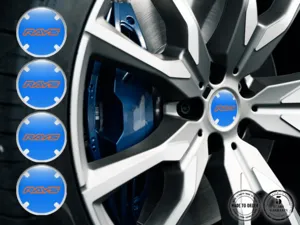 Rays Silikonaufkleber Edition Individuelle Radlabels